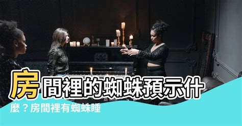 房間有蜘蛛風水|小蜘蛛現身客廳，專家解析：吉兆還是凶兆？